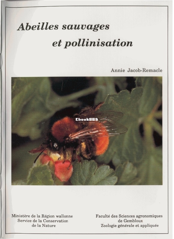 Abeilles Sauvages Et Pollinisatin - Annie Jacob-Remacle.jpg