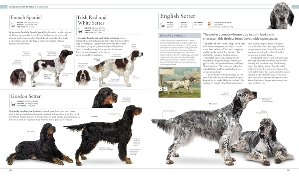 The-Dog-Encyclopedia2.jpg
