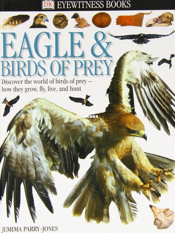 DK Eyewitness - Eagles and Birds of Prey (2000) - 2.jpg