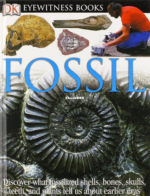 DK Eyewitness - Fossil (2003).jpg