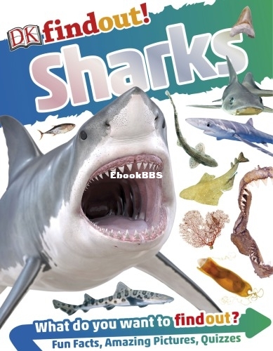 Sharks (DK findout!).jpg