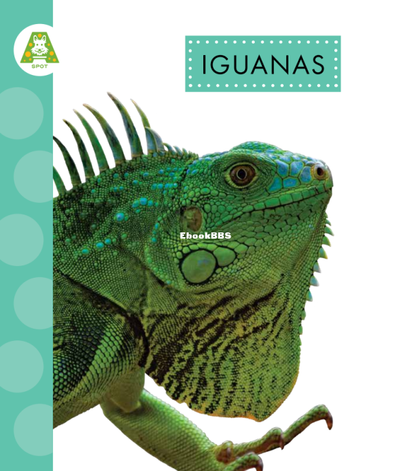Iguanas (Spot Rainforest Animals) - 1.png