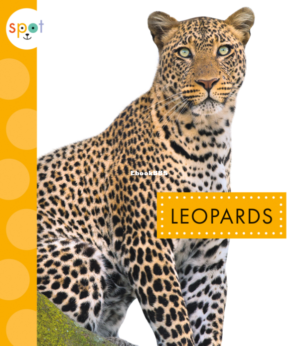Leopards (Spot Wild Cats) - 1.png