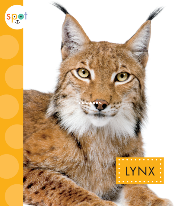 Lynx (Spot Wild Cats) - 1.png