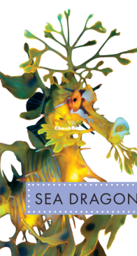 Sea Dragons (Spot Ocean Animals) - Mari Schuh - English