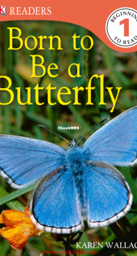 Born to Be a Butterfly - DK Readers Level 1 - Karen Wallace - English