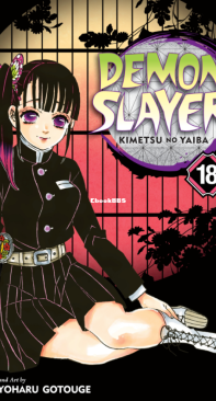Demon Slayer - Kimetsu no Yaiba v18 - Koyoharu Gotouge - English