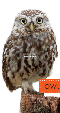Owls (Spot Backyard Animals) - Wendy Strobel Dieker - English