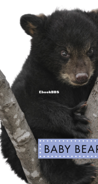 Baby Bears (Spot Baby Animals) - K.C. Kelley - English
