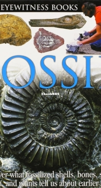 Fossil - DK Eyewitness - Paul Taylor - English