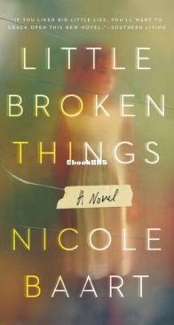 Little Broken Things - Nicole Baart - English