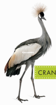 Cranes (Spot Big Birds) - Lisa Amstutz - English