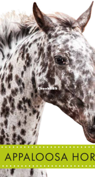 Appaloosa Horses (Spot Horses) - Alissa Thielges - English