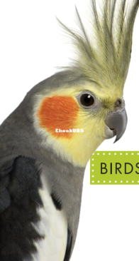Birds (Spot Pets) - Mari Schuh - English