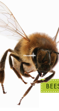 Bees (Spot) - Nessa Black - English