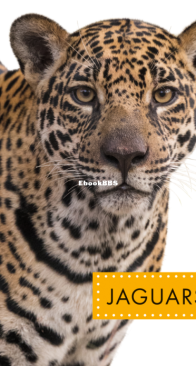 Jaguars (Spot Wild Cats) - Alissa Thielges - English