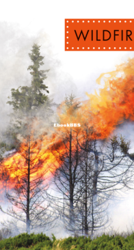 Wildfires (Spot Extreme Weather) - Anastasia Suen - English
