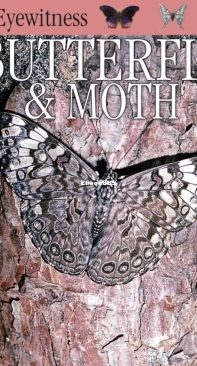Butterfly and Moth - Dk Eyewitness - Paul Whalley - English