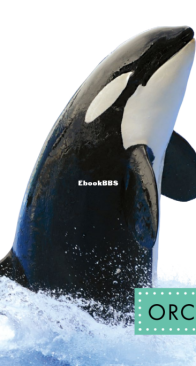 Orcas (Spot Arctic Animals) - Anastasia Suen - English