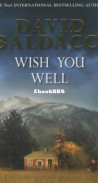 Wish You Well - David Baldacci - English