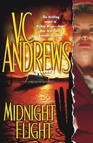 Midnight Flight.jpg