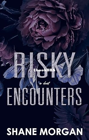 Risky Encounters - Shane Morgan.jpg