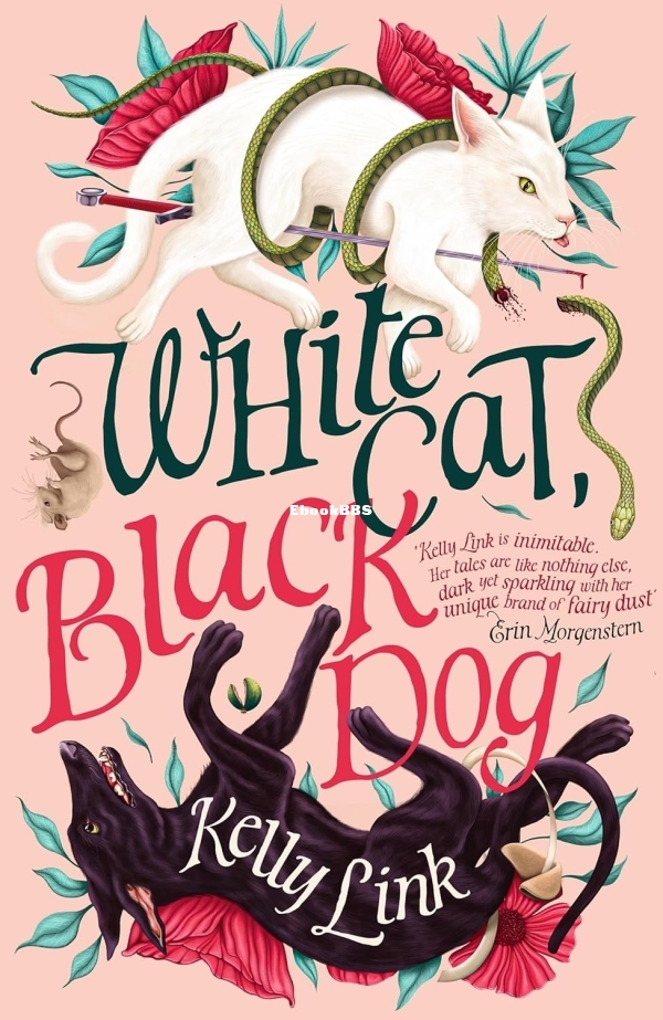 White Cat, Black Dog by Kelly Link..jpg