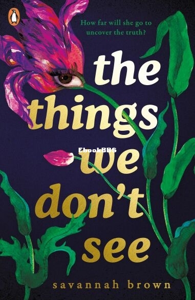 The Things We Don't See.jpg