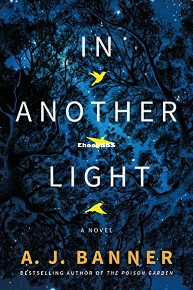 In Another Light.jpg