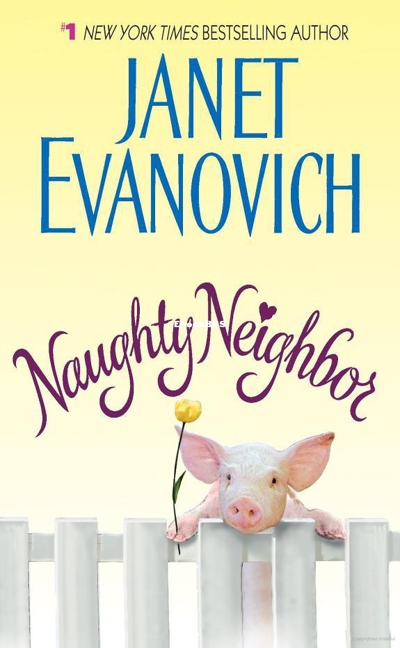 Naughty Neighbor - Janet Evanovich - English mystery.jpg