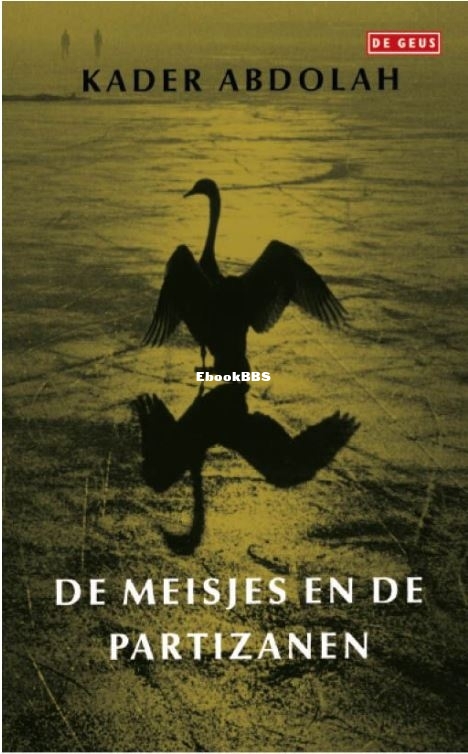 de meisjes en de partizanen.JPG