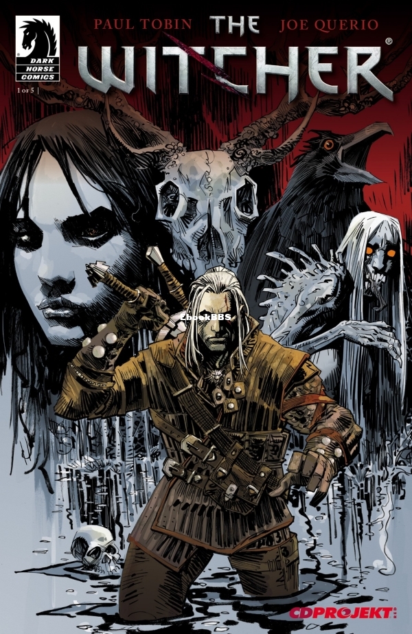 The Witcher 001-001.jpg