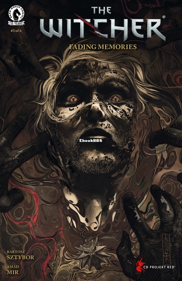 The Witcher - Fading Memories 003-000.jpg