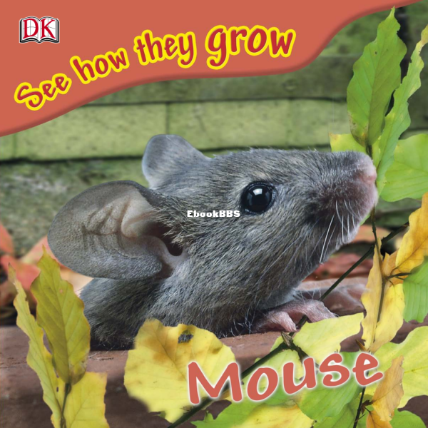 See-How-They-Grow-Mouse - 1.png