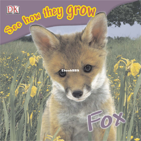 see-how-they-grow-fox - 1.png
