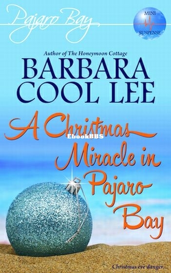 A Christmas Miracle in Pajaro Bay.jpg