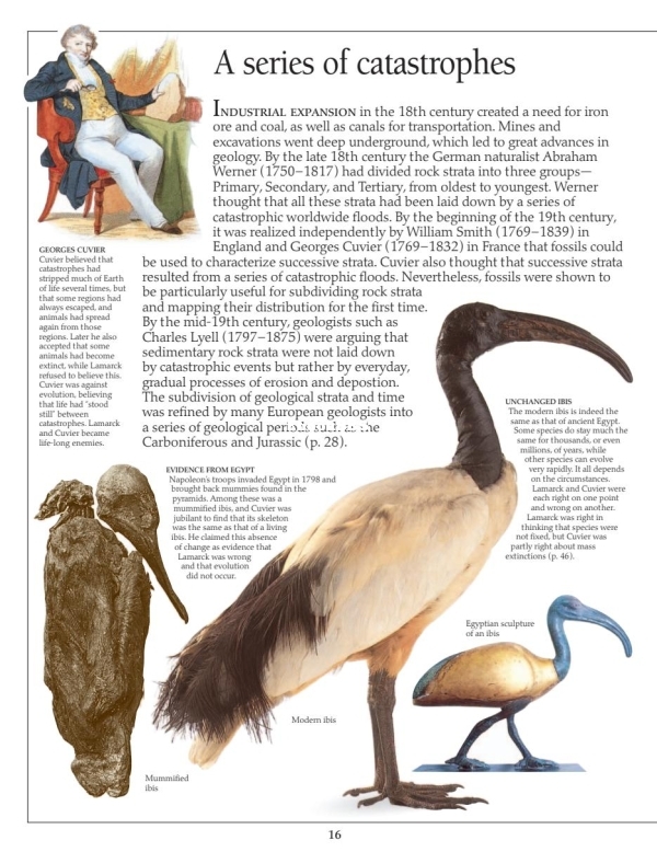 DK Eyewitness - Evolution (2009) - 18.jpg