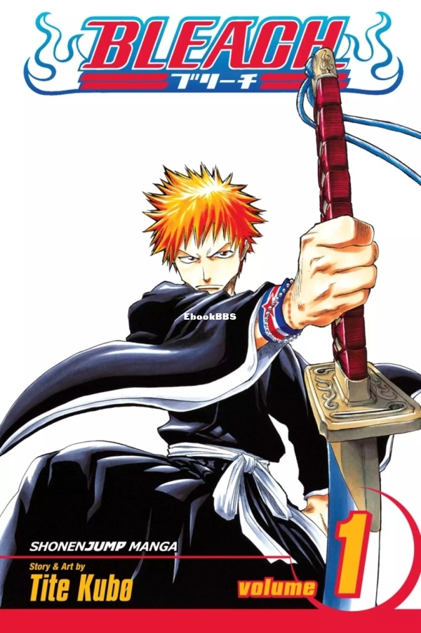 6777976-bleach 1.jpg