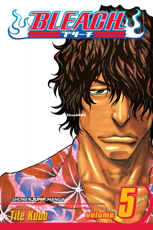 6777981-bleach 5.jpg