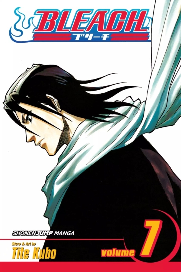 6777983-bleach 7.jpg