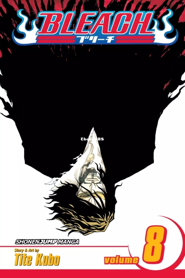 6777985-bleach 8.jpg