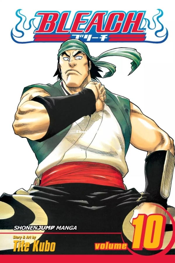 6777987-bleach 10.jpg