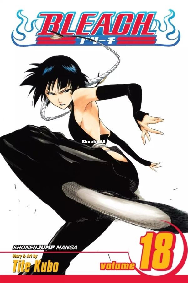 6781608-bleach 18.jpg