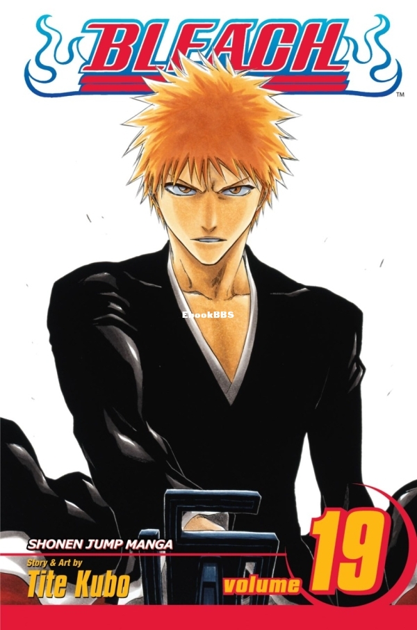 6846425-bleach 19.jpg