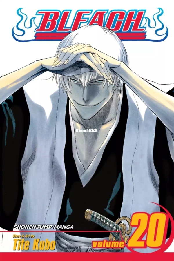 6781611-bleach 20.jpg
