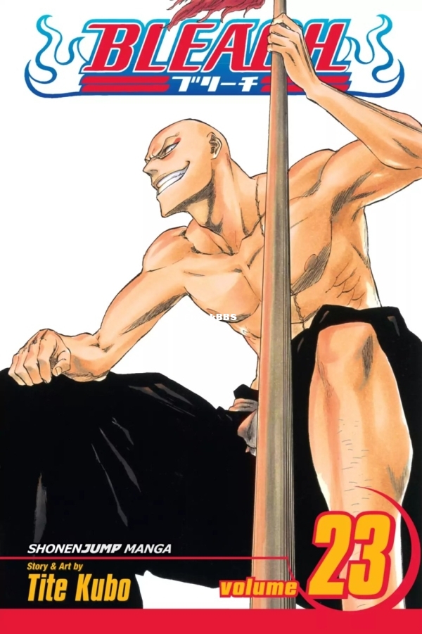 6781623-bleach 23.jpg