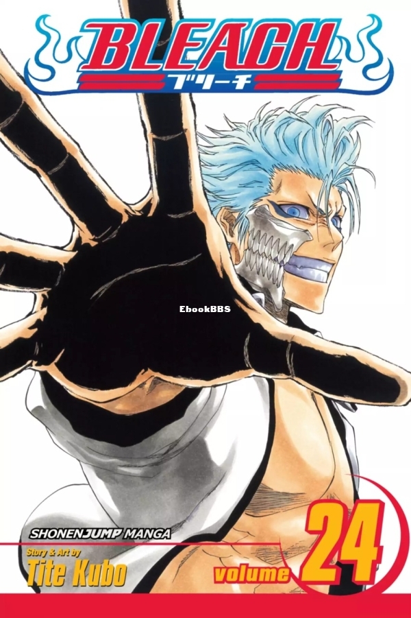 6781626-bleach 24.jpg