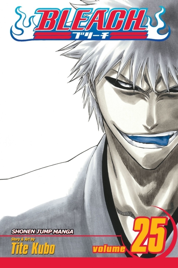 6846428-bleach 25.jpg