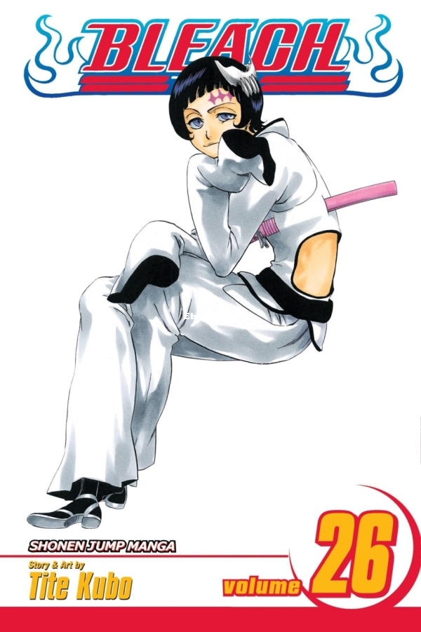 6846430-bleach 26.jpg