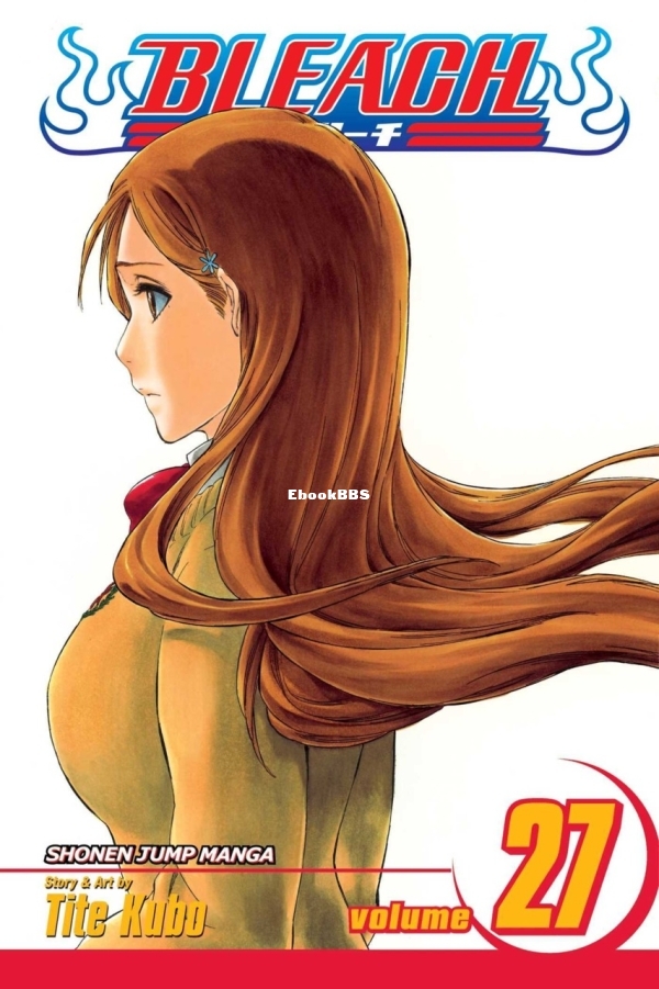 6846432-bleach 27.jpg